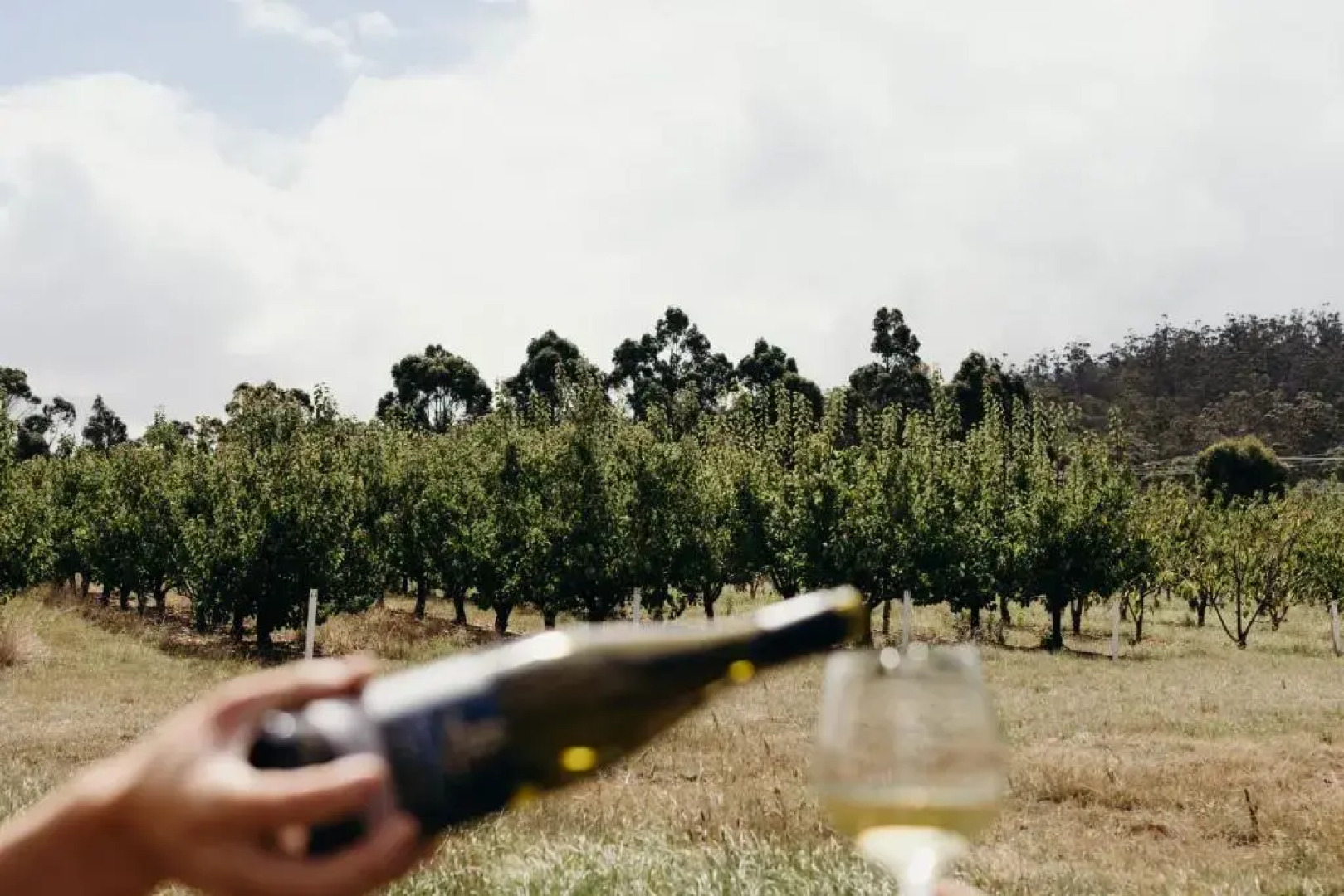 Iron Creek Bay Estate