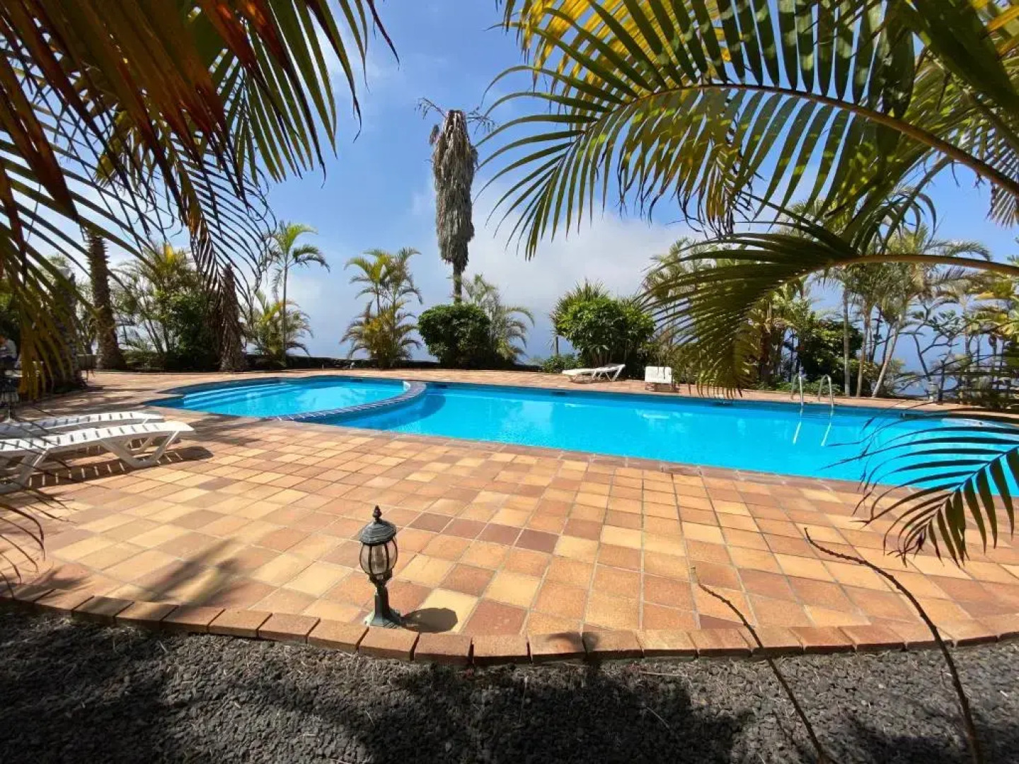 Apartamentos Villa Colon