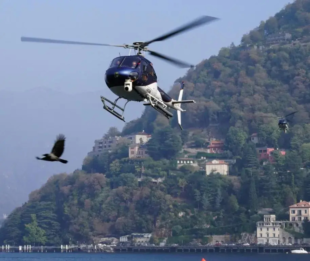 I Faggi di S. Giorgio