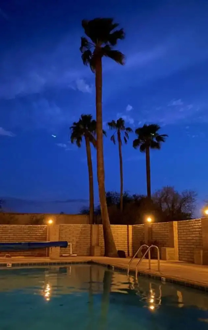 Catalina Del Oro By Casago