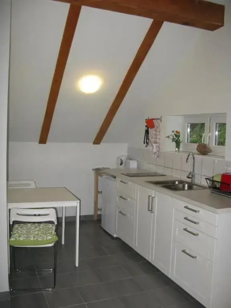 Apartments Eco Forest Resort