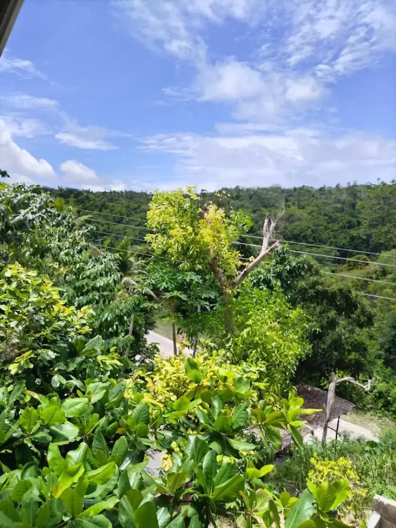 Siquijor Overlooking House 100 Meters Before Cambugahay Falls