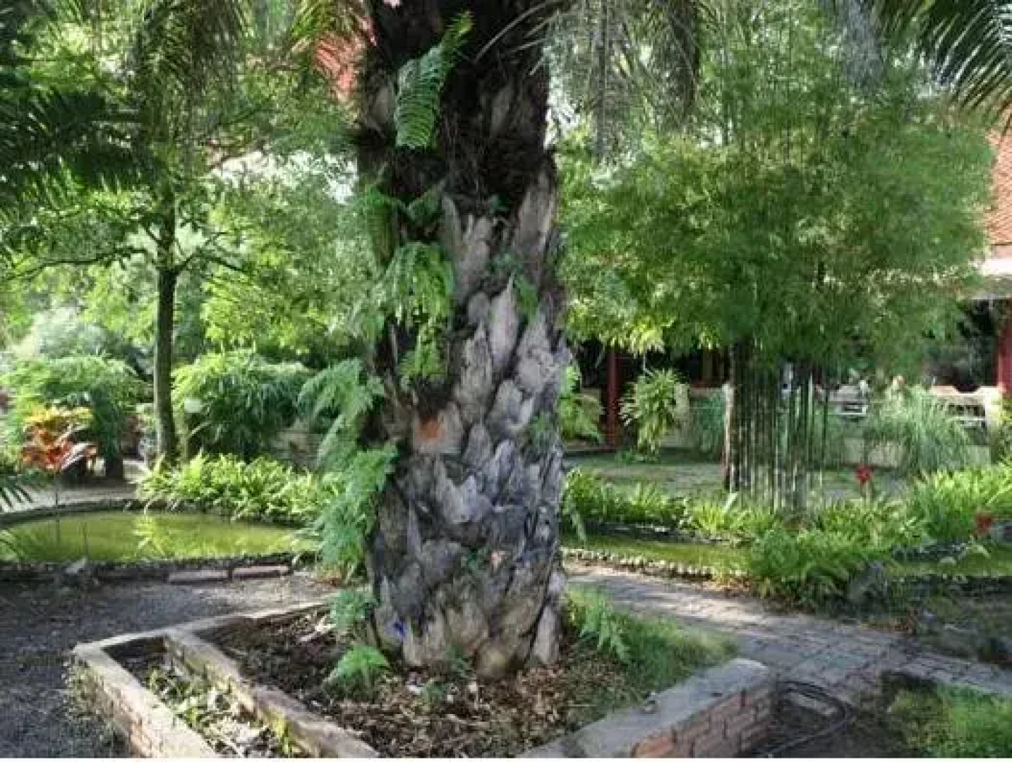 Pinnacle Satun Hotel