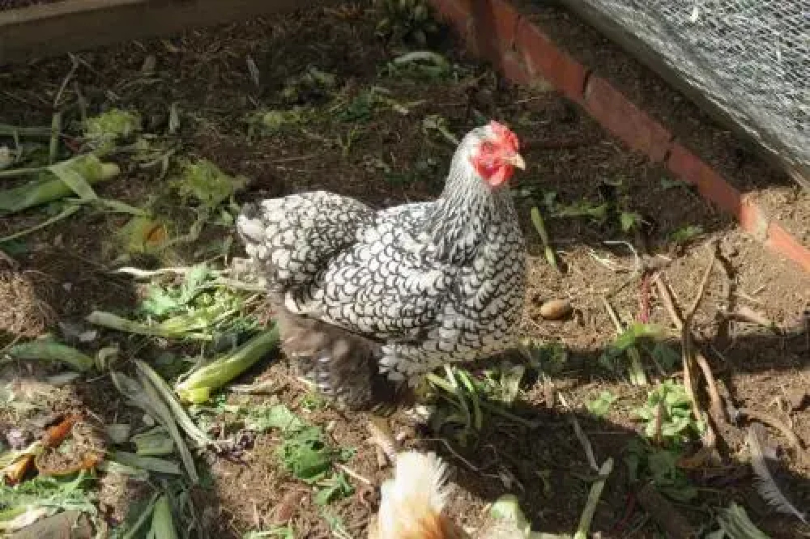 Butterworth Accommodation