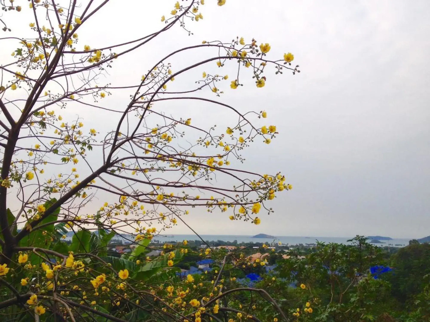 Makmai Sailom Heights