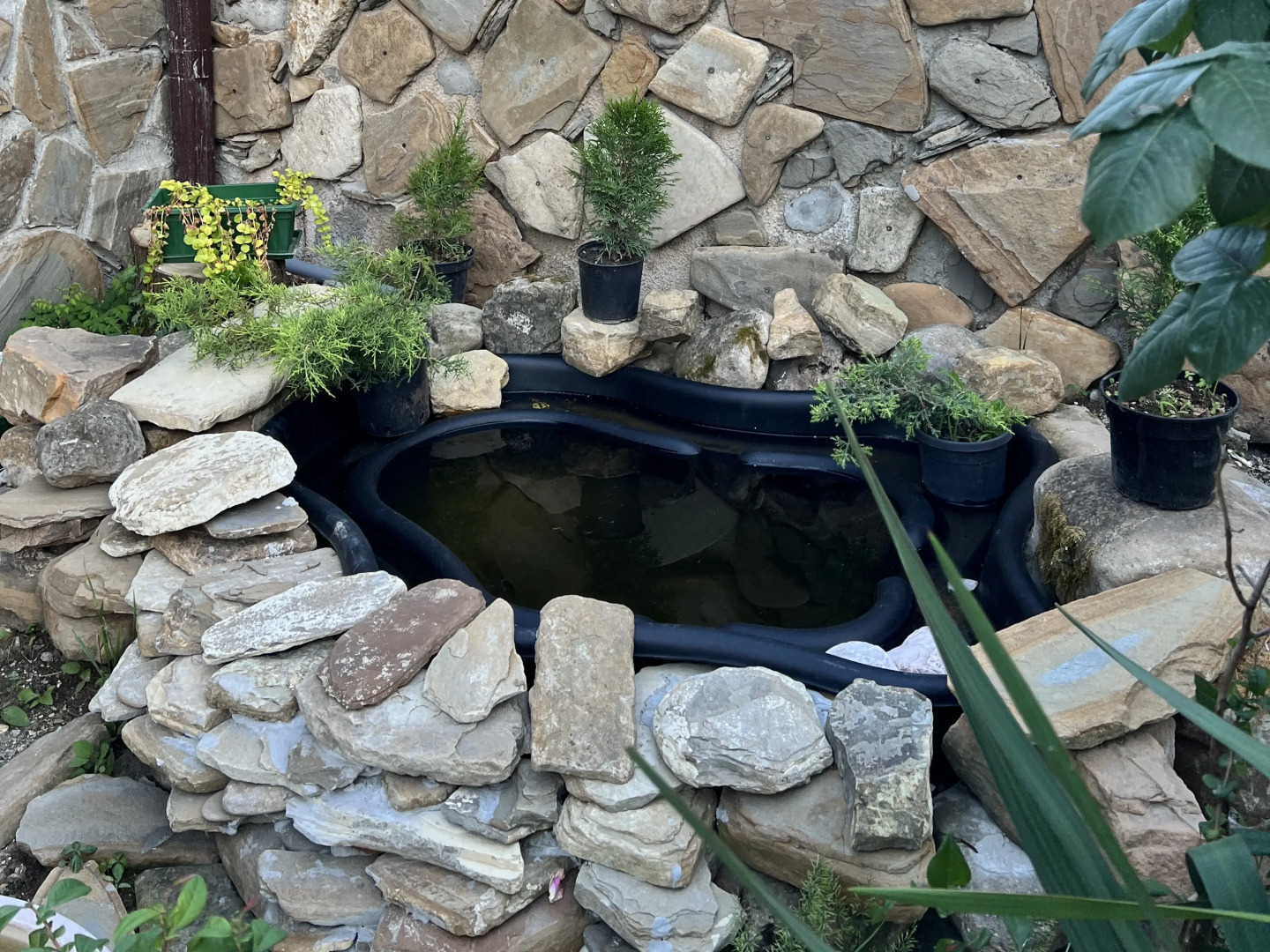 Шале у моря (Цандрипш)