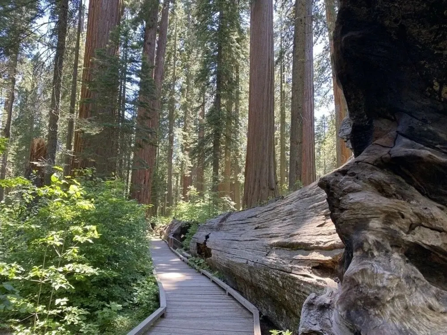 Lilac Cabin Family-friendly Highspeed Wi-fi 3 Bedroom Home by RedAwning