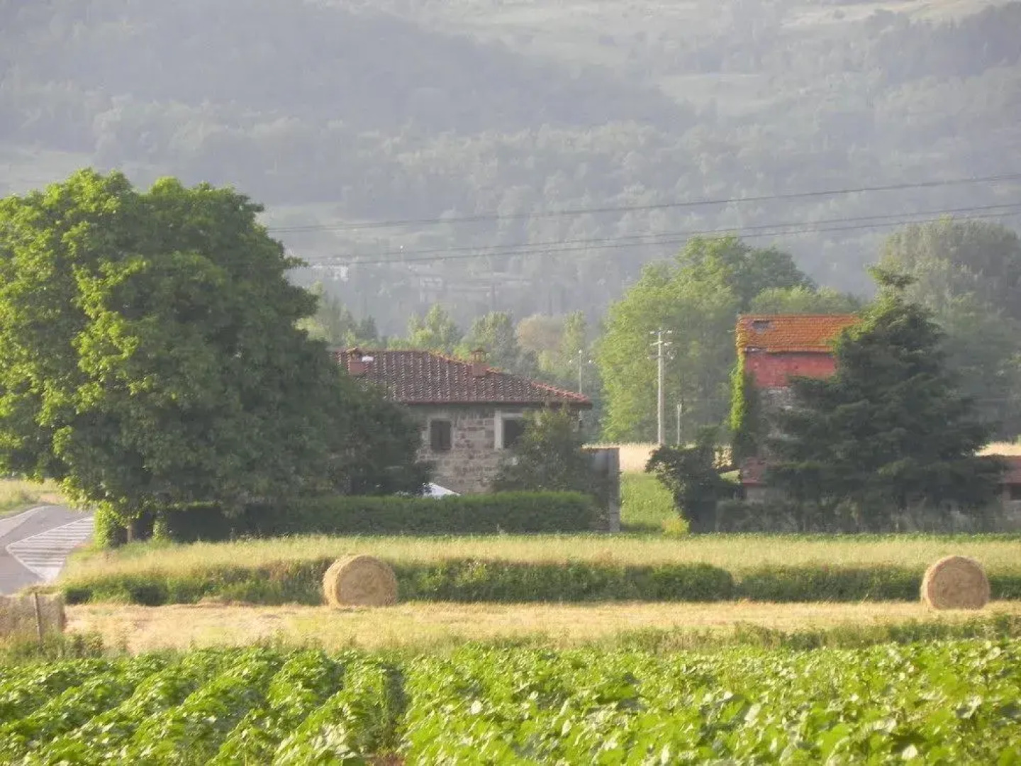 Agriturismo Poderi Minori