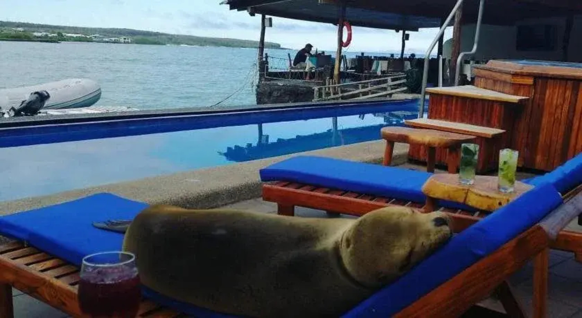 Solymar Torre Principal