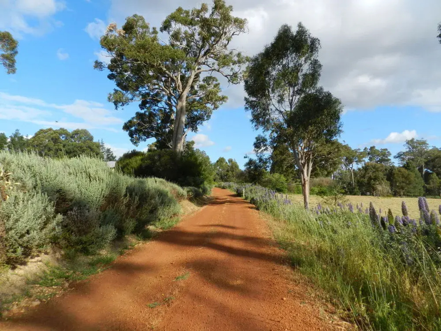 Shambhala Guest House