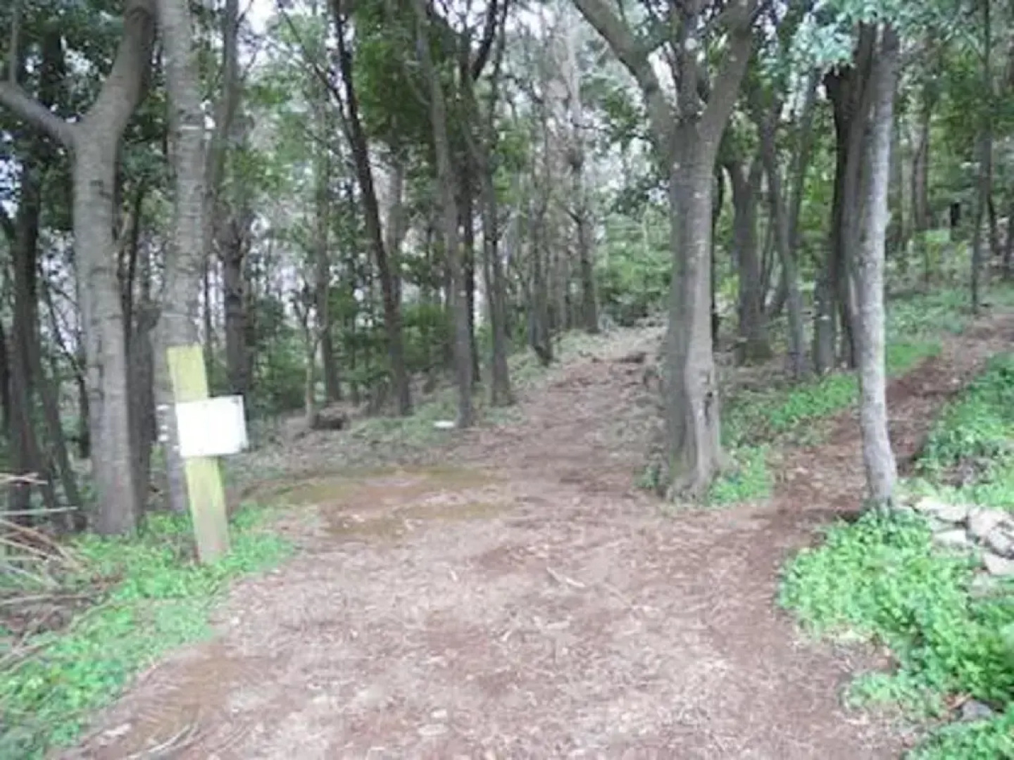 Apartamento704 Mesa del Mar