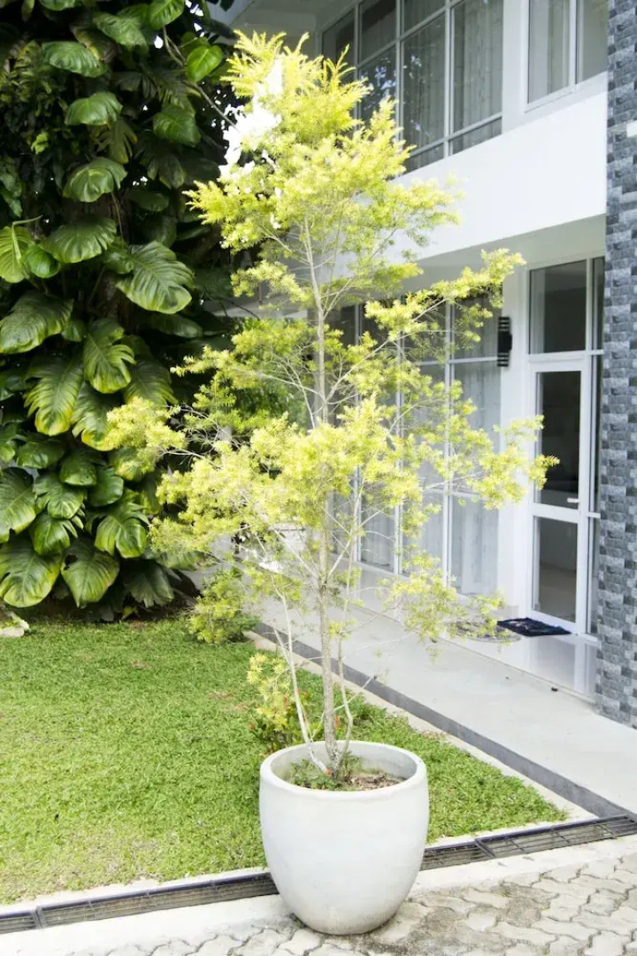 Diyathala Regency Boutique Hotel