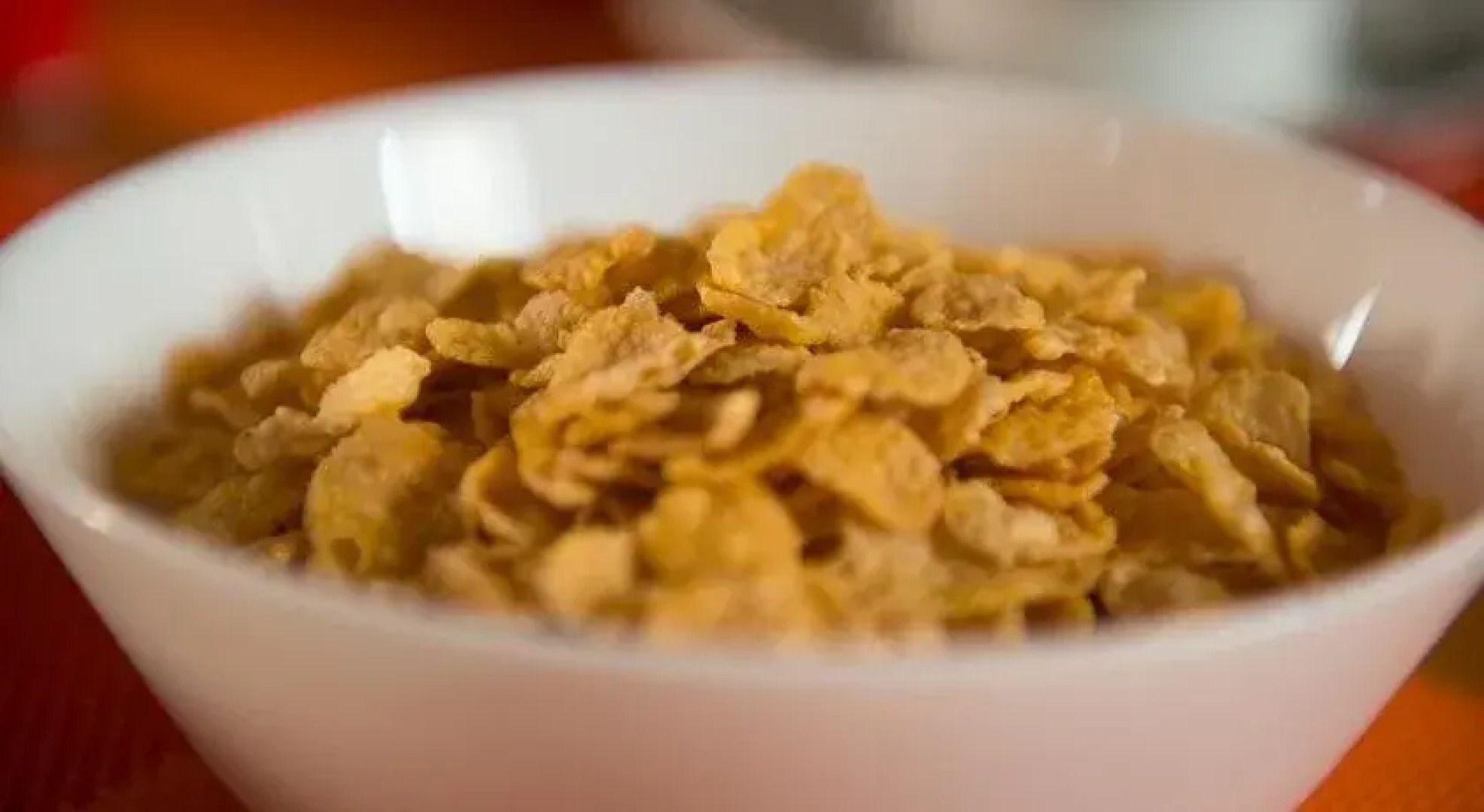 La Terrera Youth Hostel