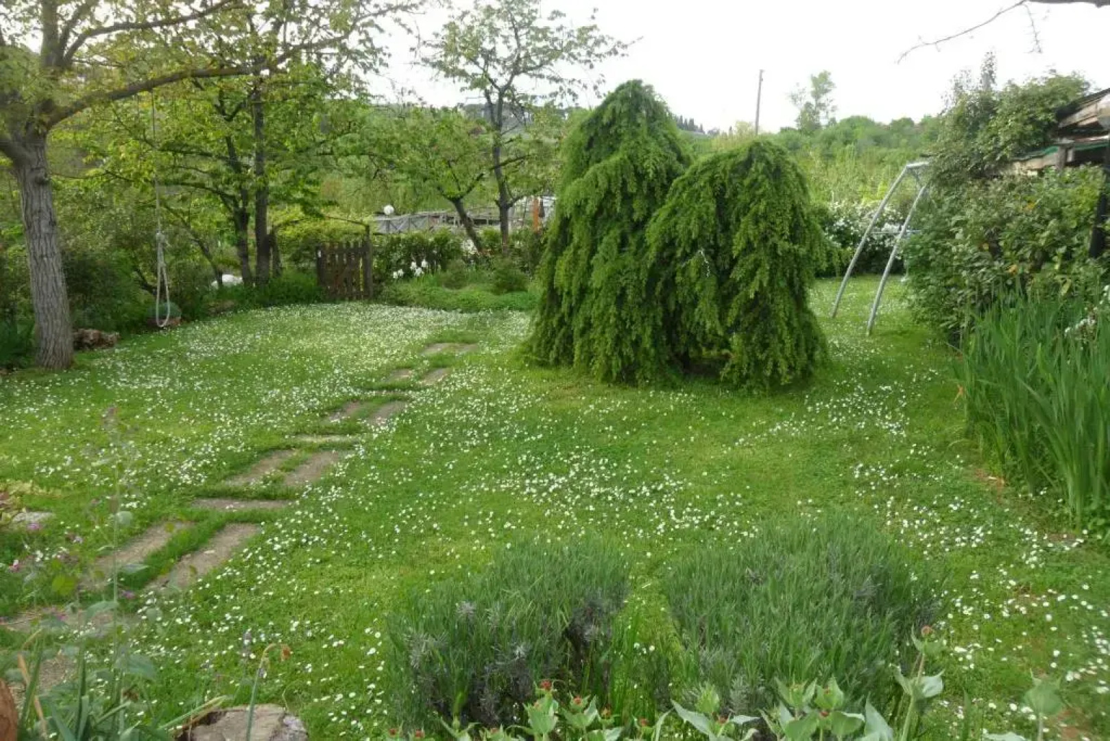 Affittacamere DaMammaSara