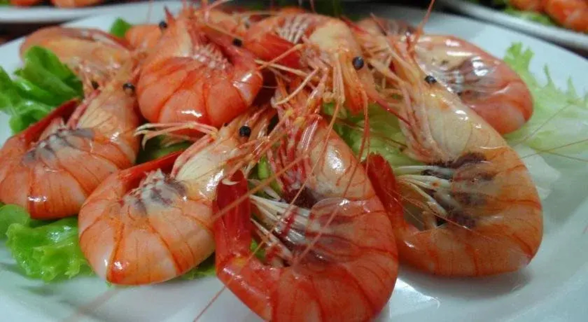 Duerming Ardora Hotel