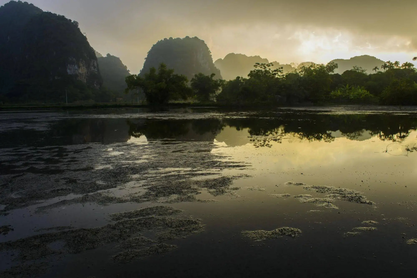 Tam Coc Garden