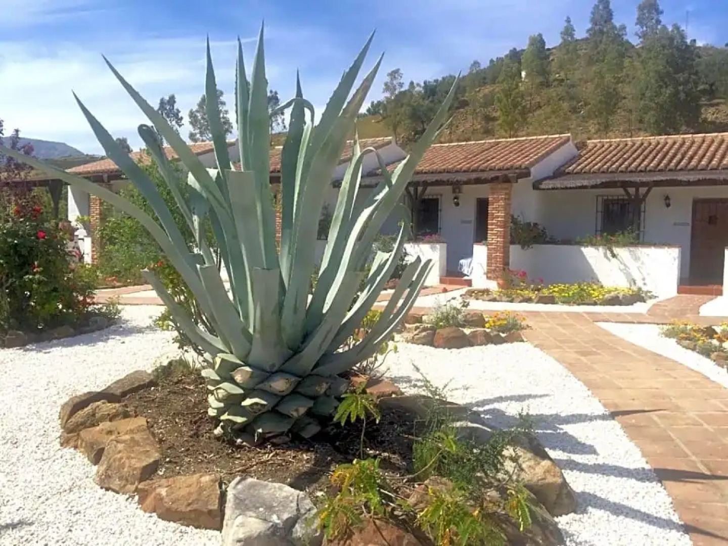 Cortijo Valverde Alora