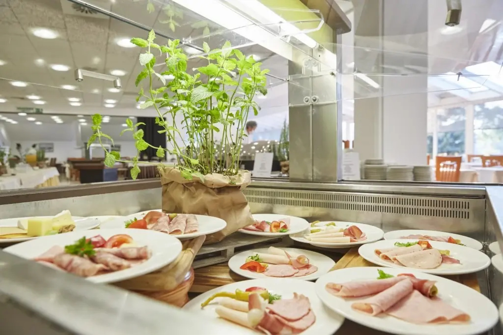 Thermal Resort Lendava