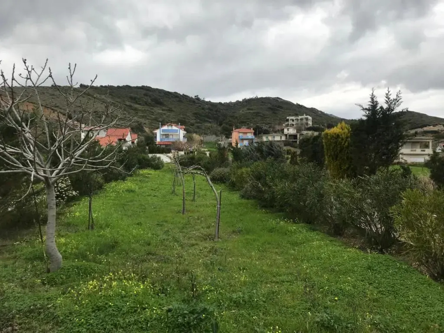 Megisti