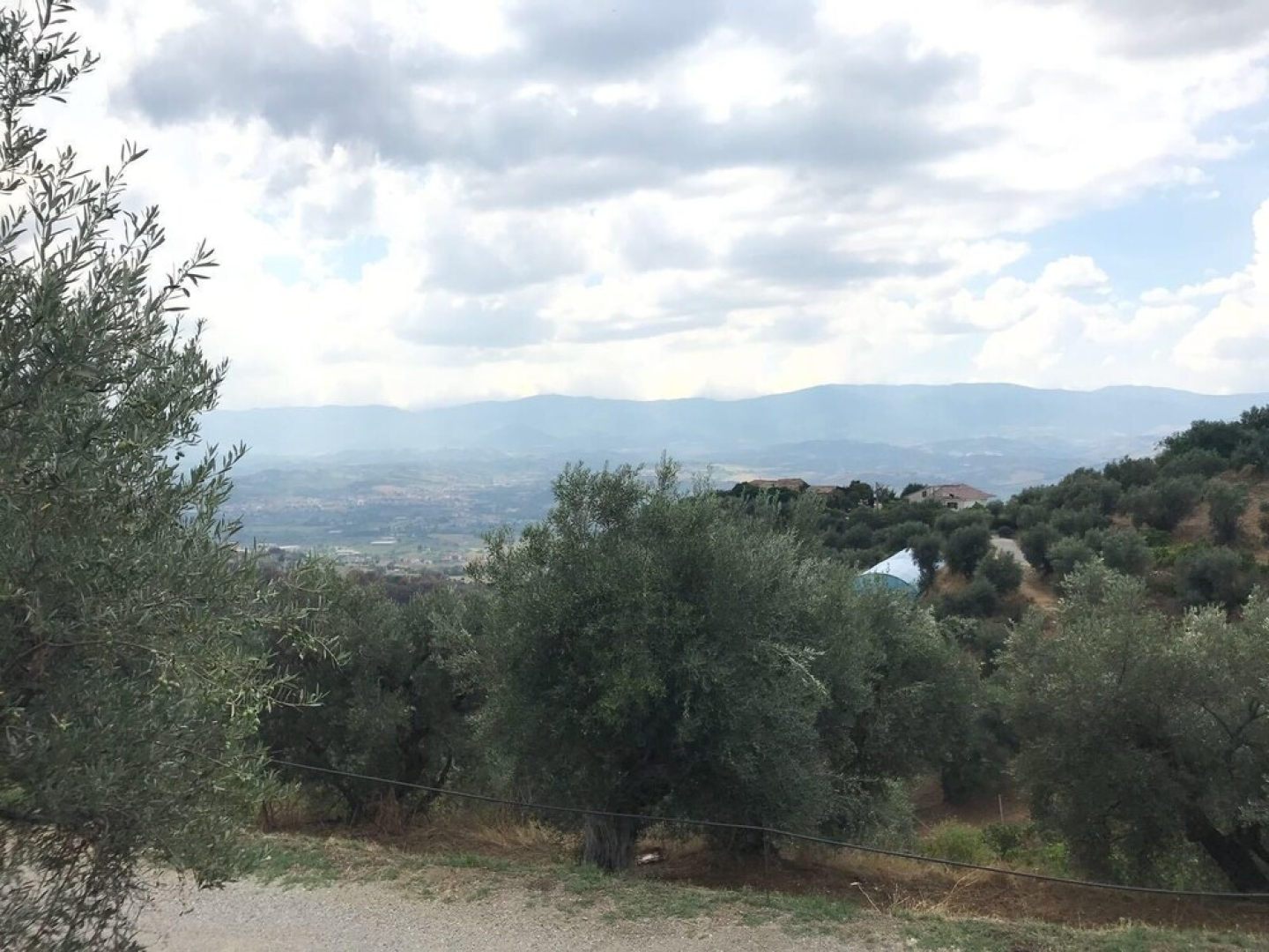 Agriturismo Pingitore