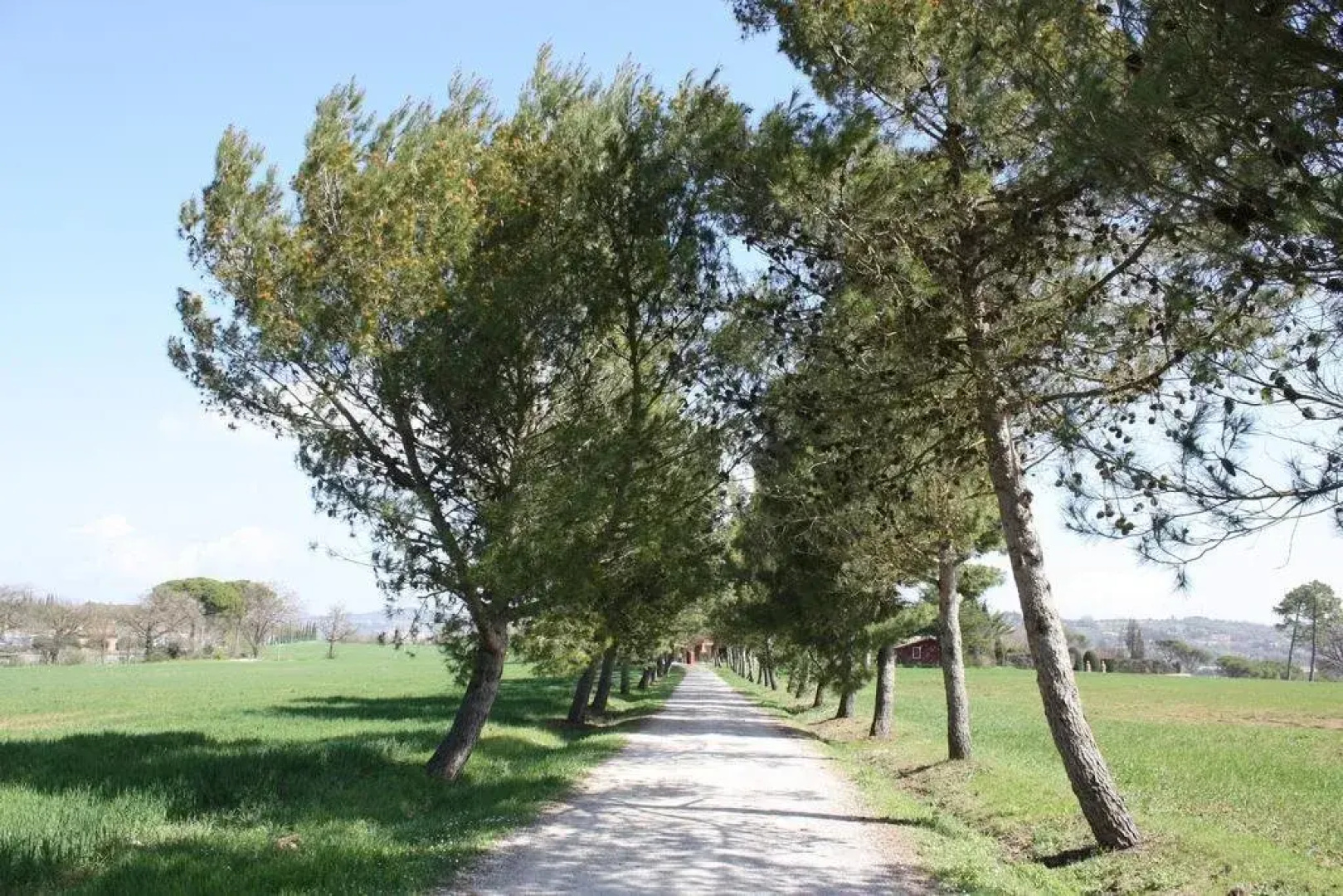 La Querciaia