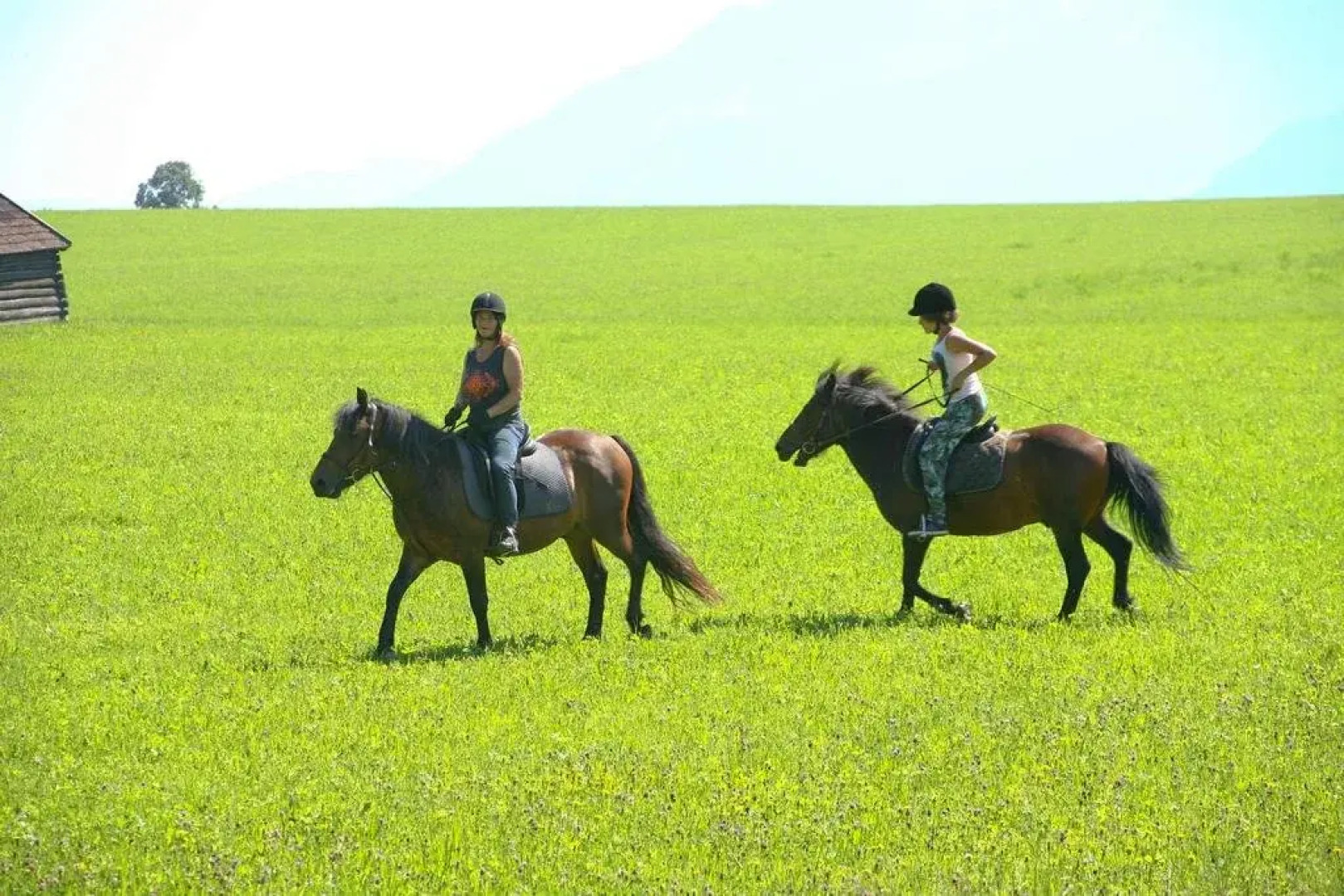 Sport & Familienhotel Bärenwirt