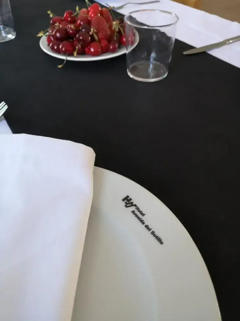 Hotel Avenida Del Sotillo