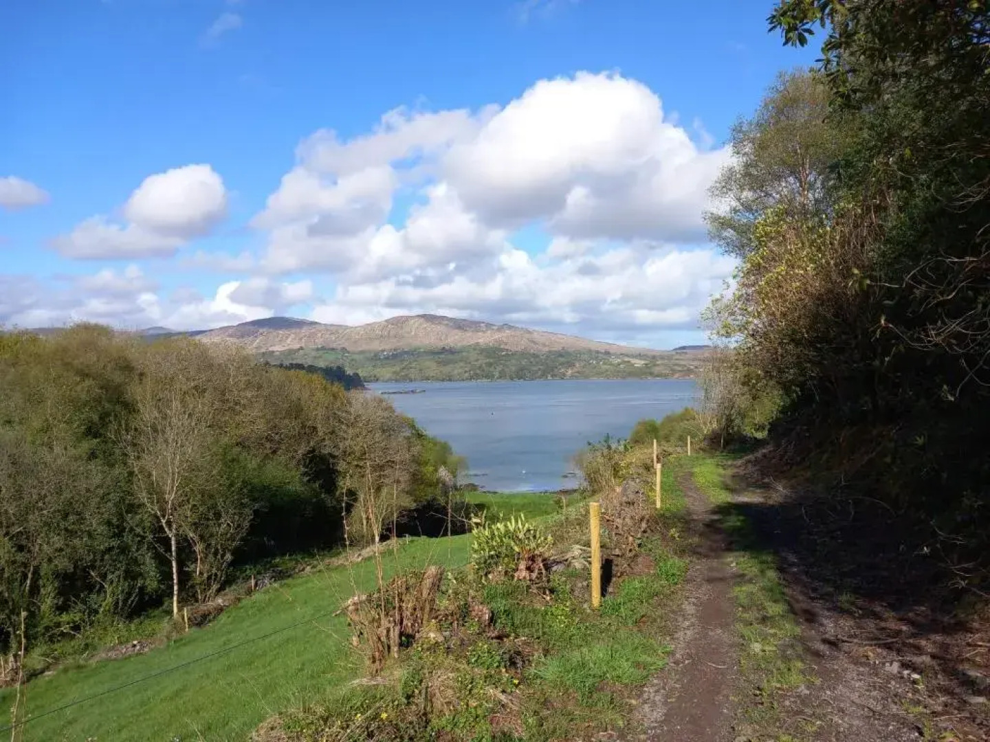 Cuckoo Tree House, Glengarriff, Beara Peninsula
