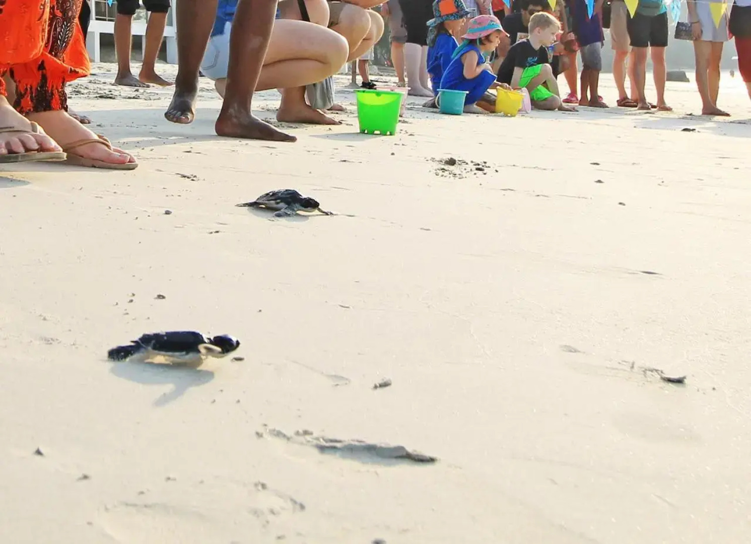 Nirwana Gardens - Indra Maya