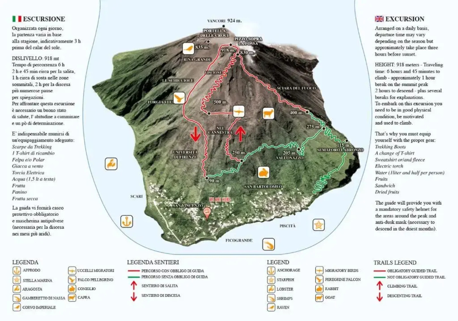 Stromboli Trekking Accommodation - Room and Excursion for 2 included