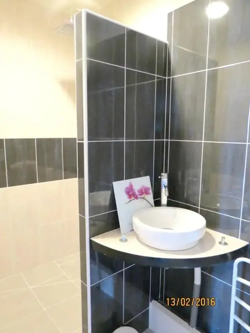 House With 4 Bedrooms in Gaillac, With Enclosed Garden and Wifi