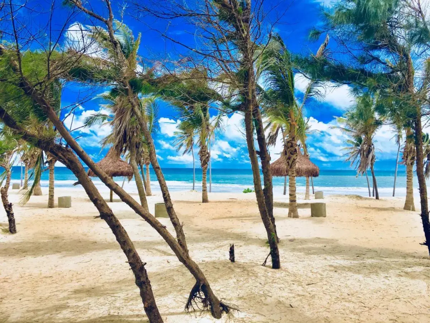 VG Sun Cumbuco by Diego Flats