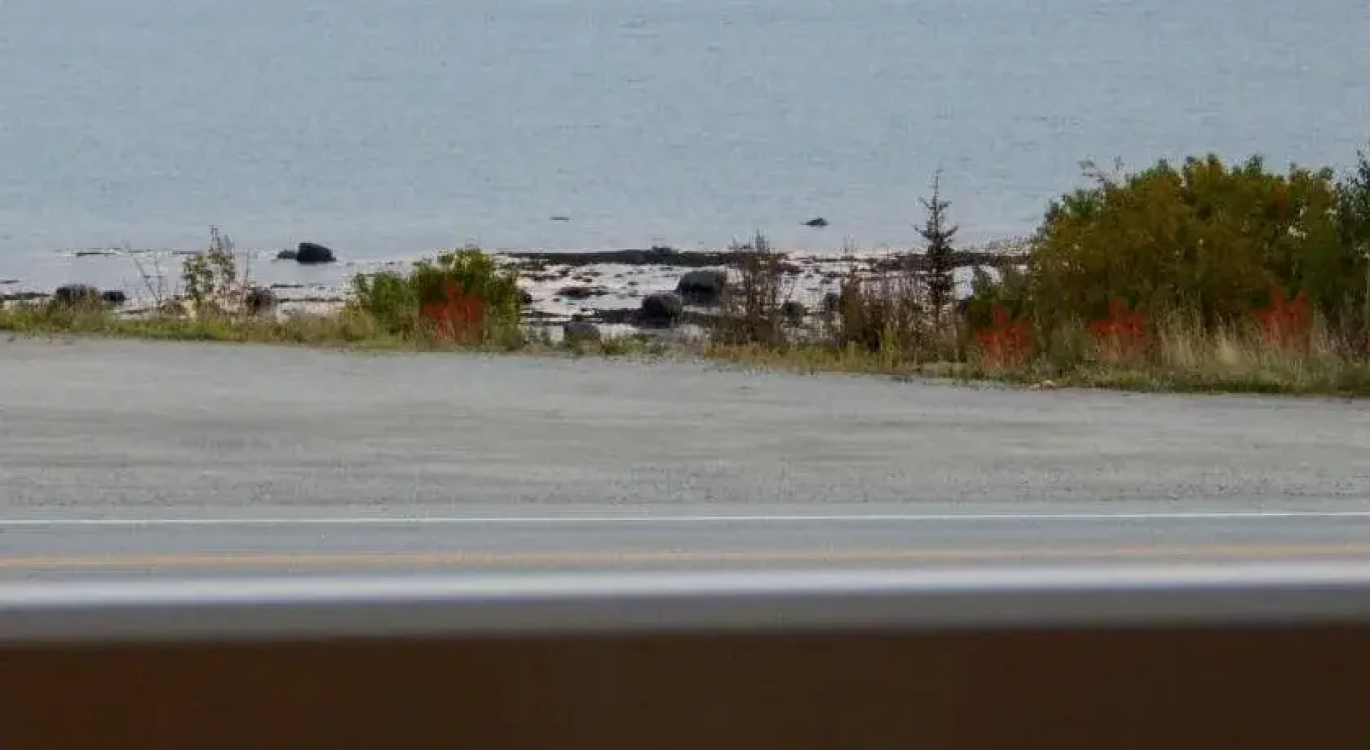 Complexe Hotelier Pelchat