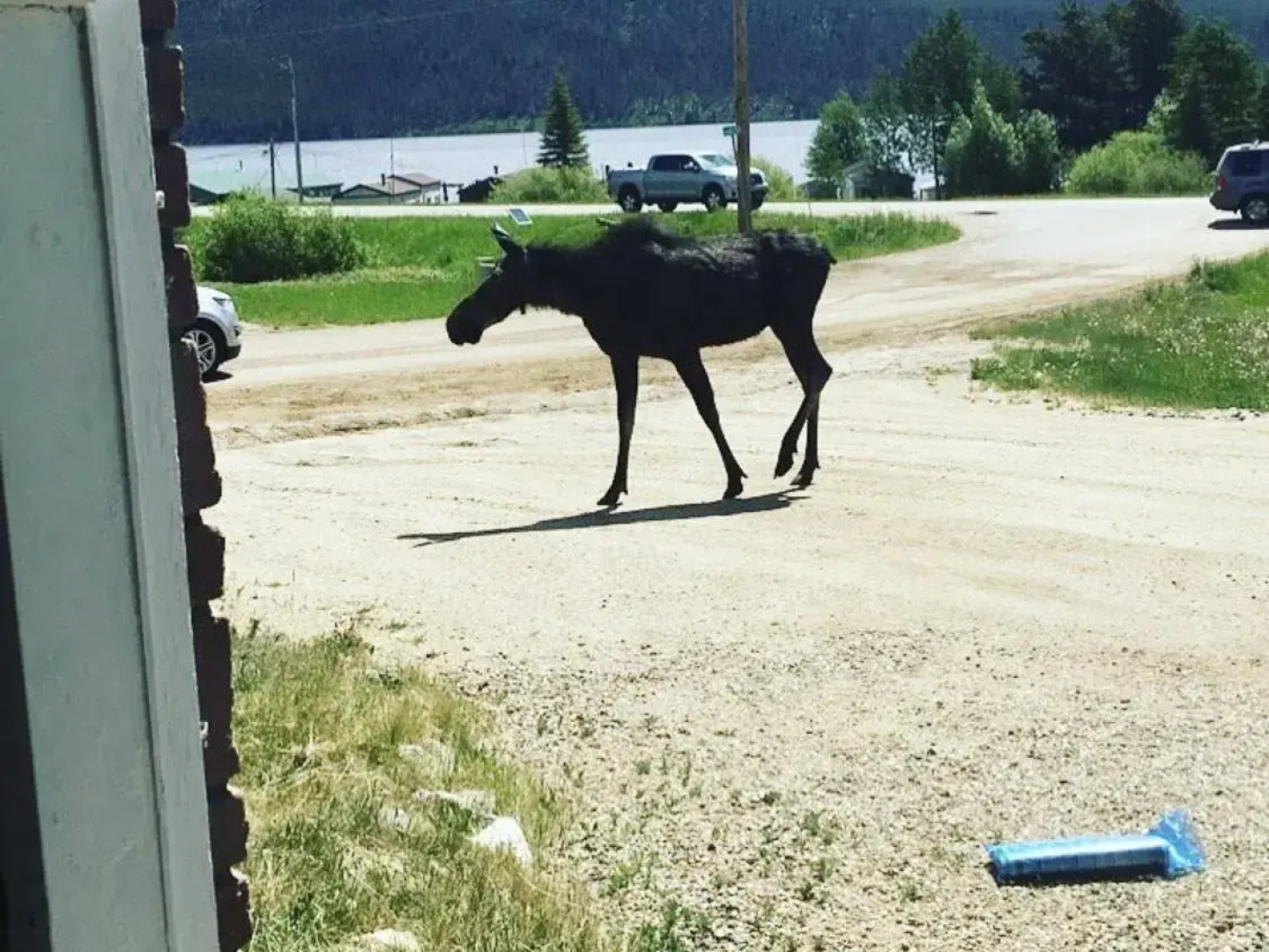 Timberline Inn of Grand Lake
