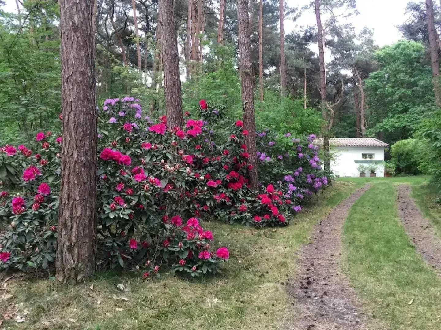 Gierle Garden Bungalow Escape