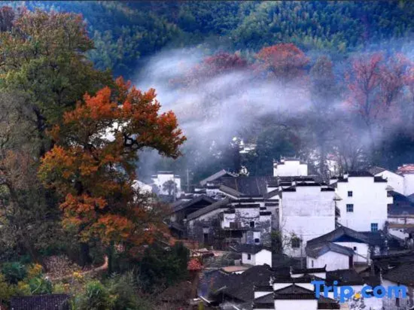 Shanjing Hongfeng Inn