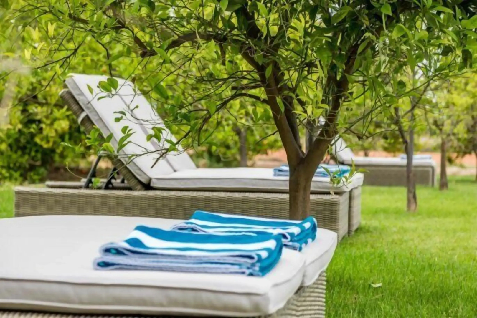 Alquería Calatrava B&B