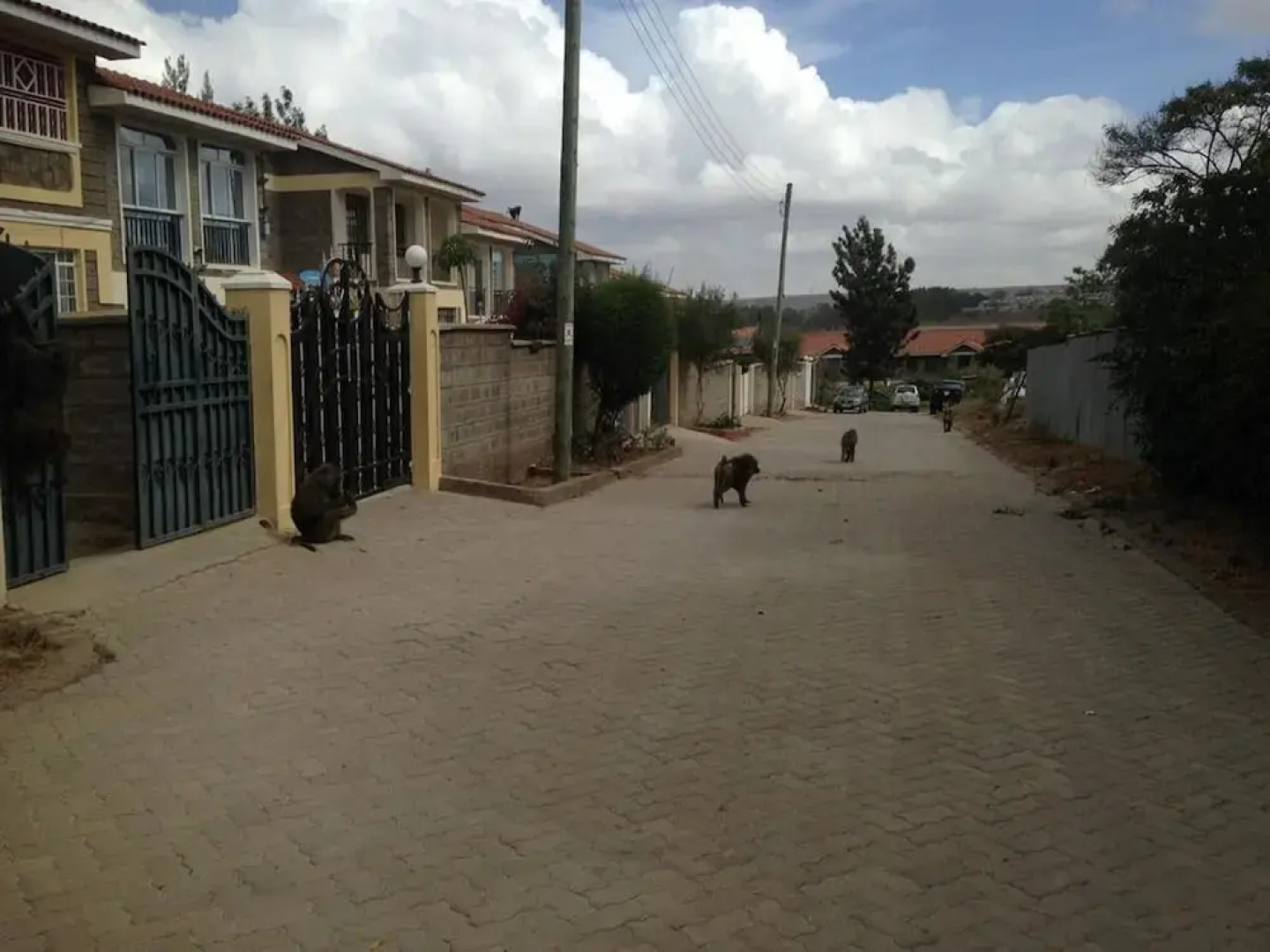 Chester View Homestay - Hostel