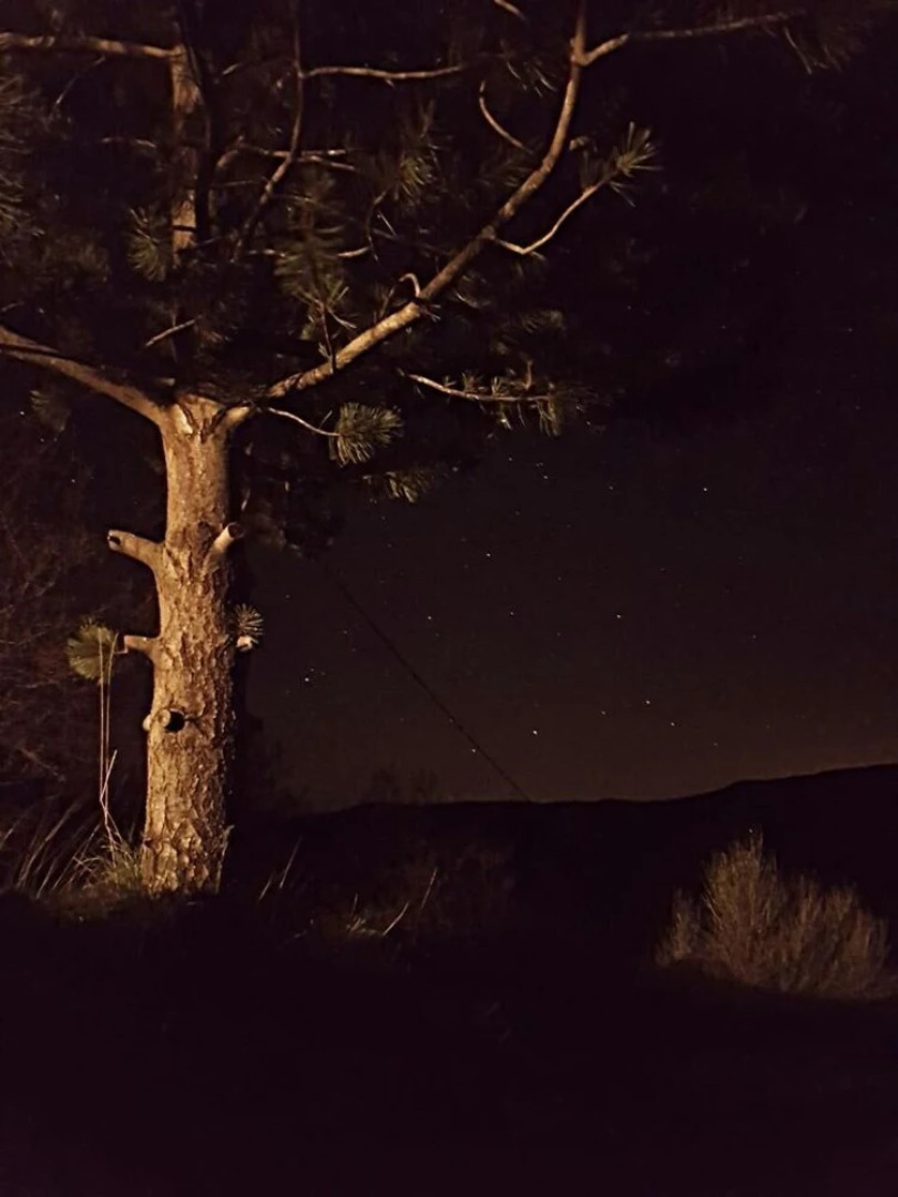Rifugio Aquila Verde