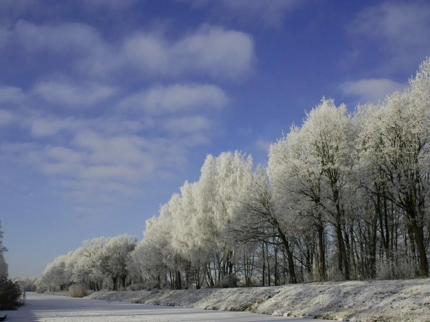 Cozy Holiday Home in Reutum with Hot Tub