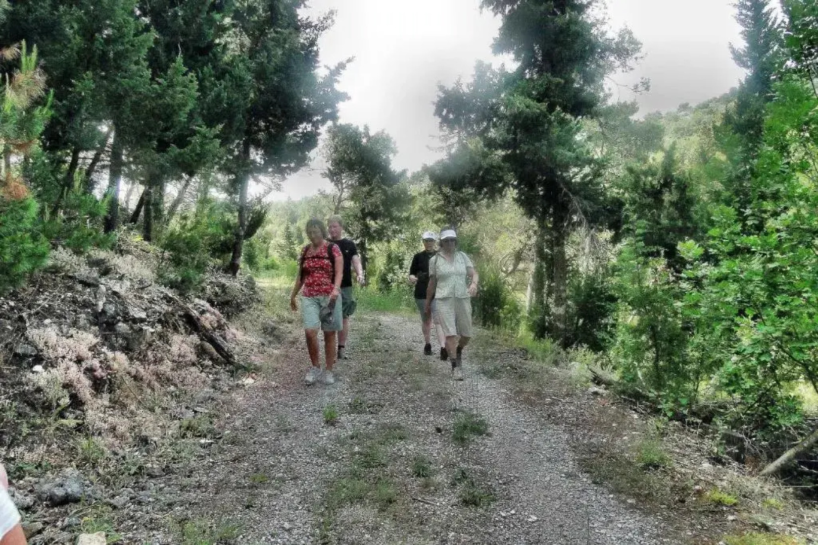 Holiday Home Apartment Tedo