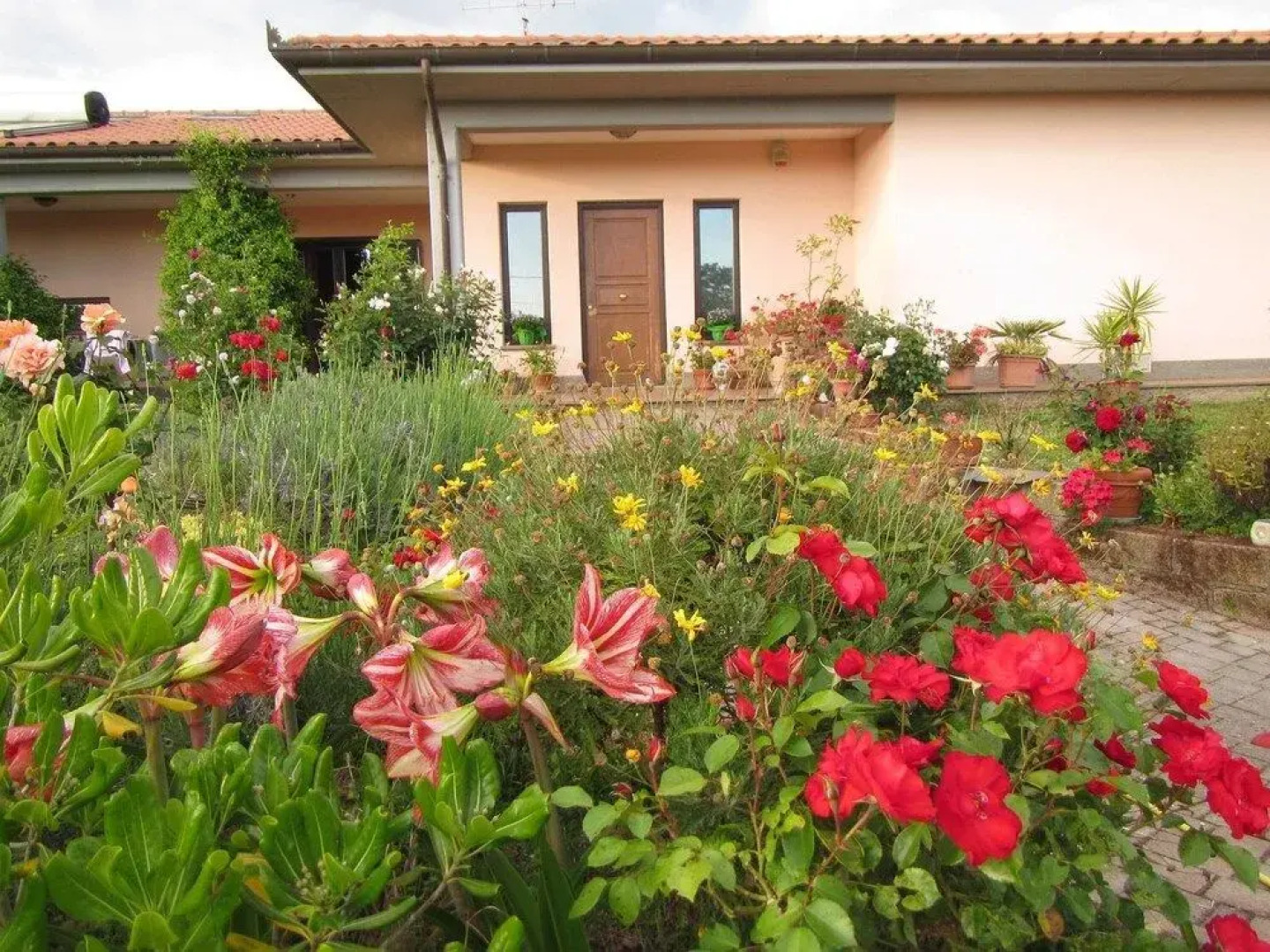 B&B Il Vigneto Tuscania