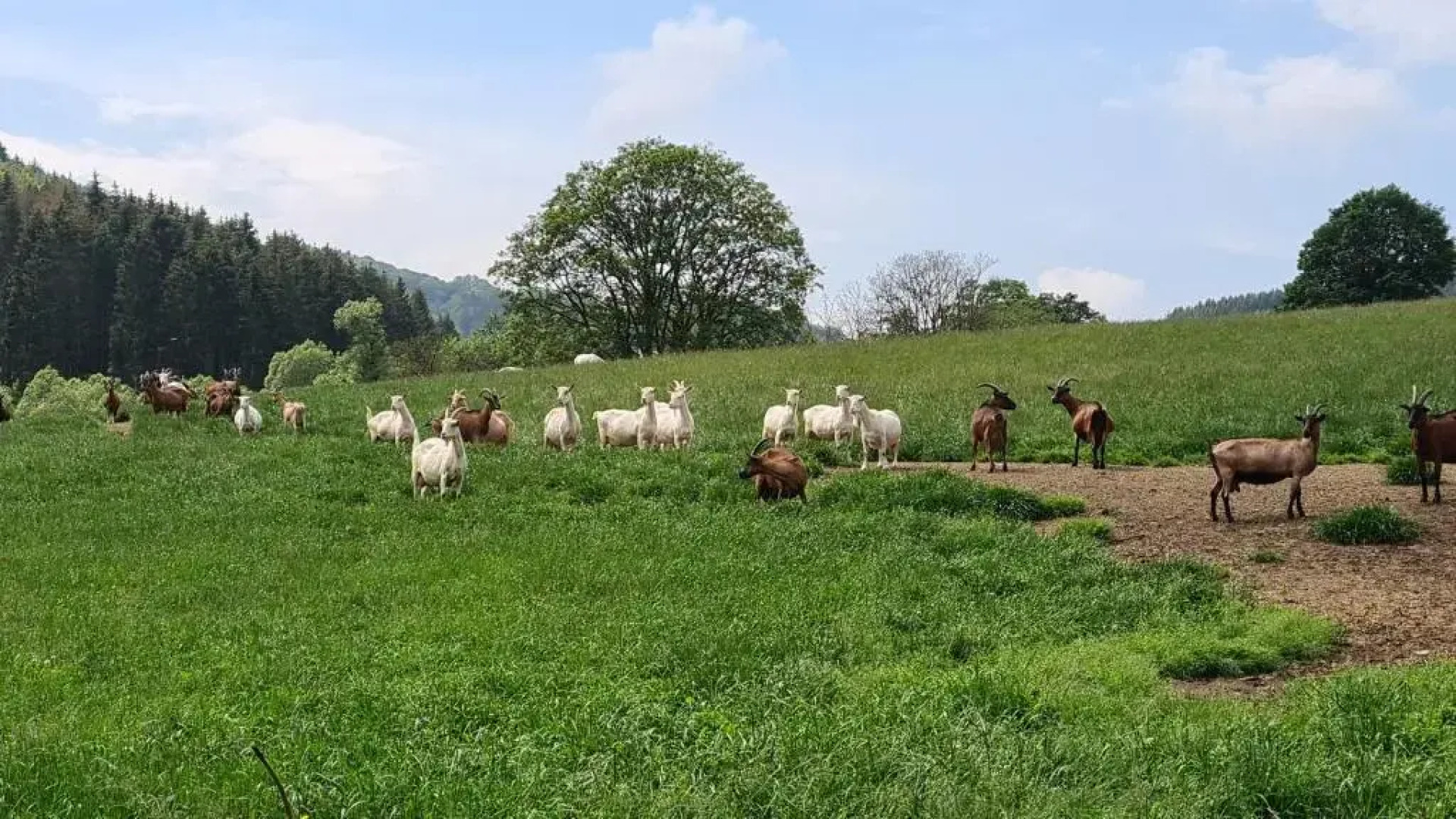Vakantiehuisje Winterberg