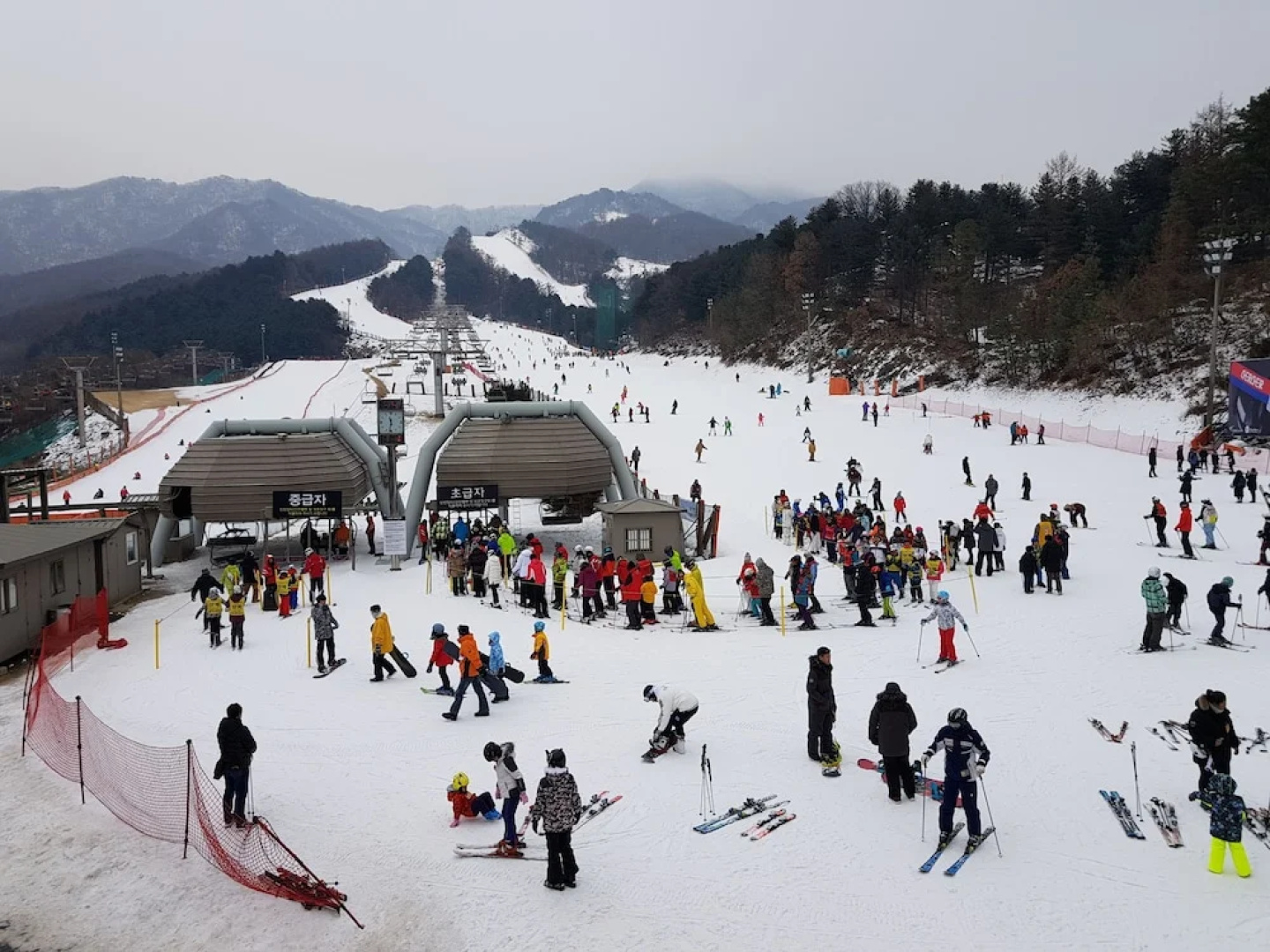 Bears Town Resort