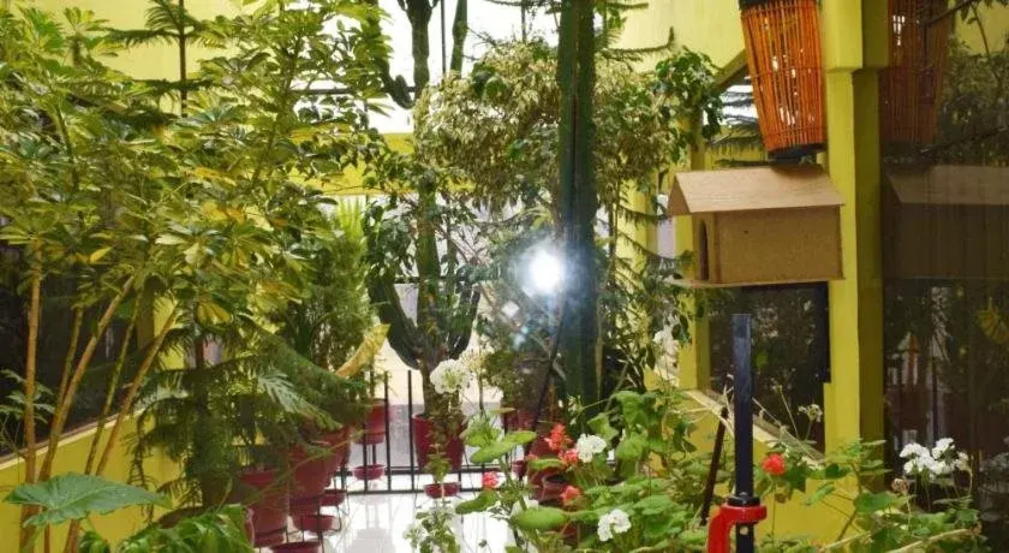 Hotel Maria Antonieta