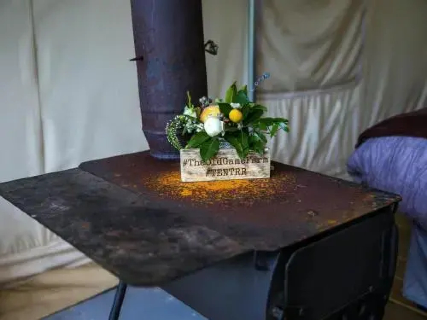 Tentrr - Abandoned Zoo Overlook