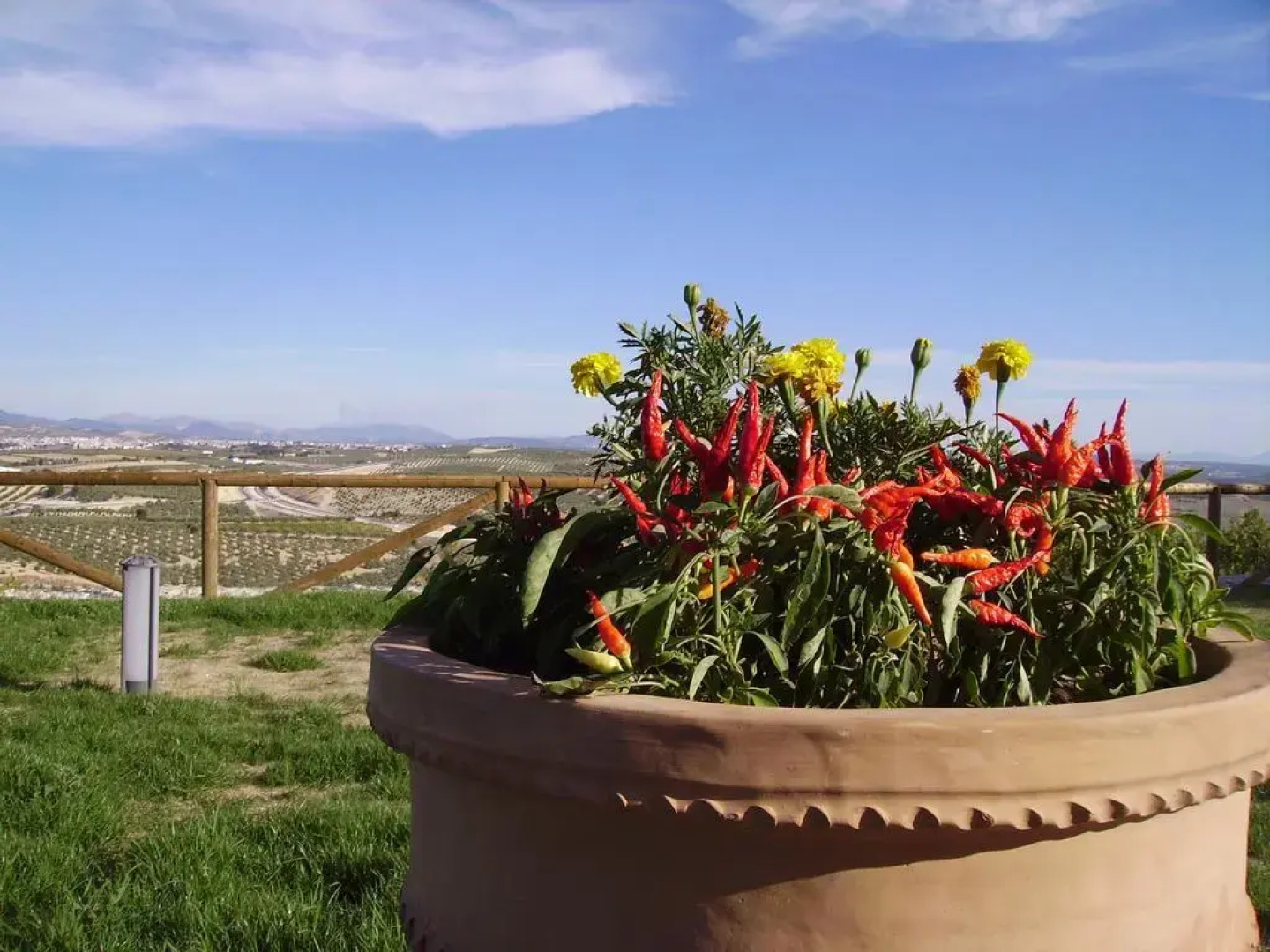 Atalaya de La Campiña