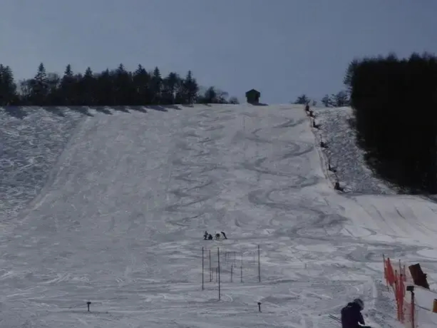 Sugadaira Lodge Alice