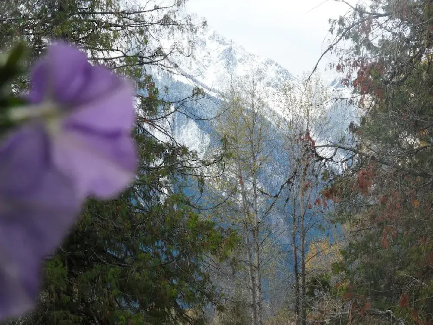 The Hitching Post Motel