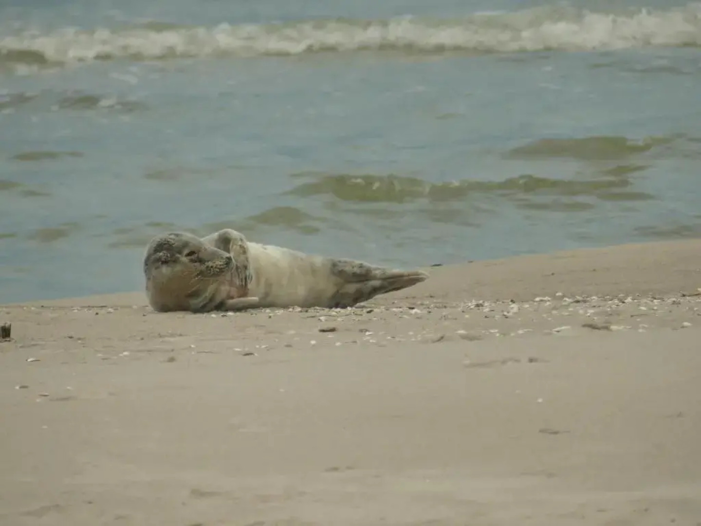 Ferienwohnungen Jagdhaus 6